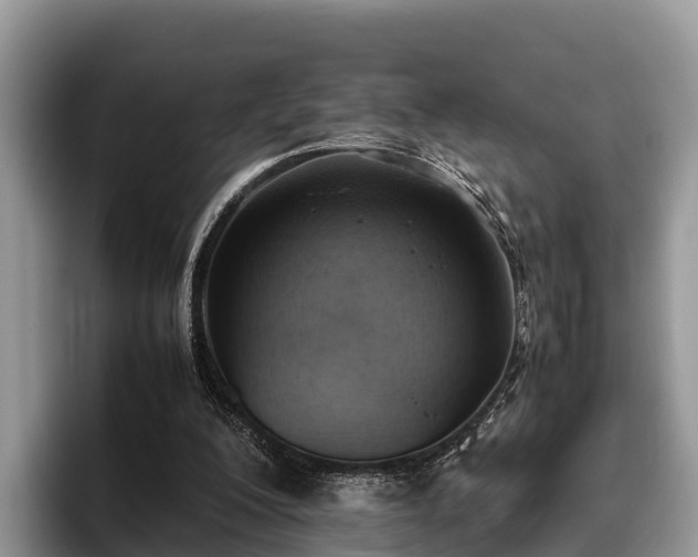 X0000095890200200801181232
