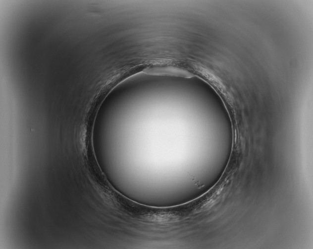 X0000095890201200801181232