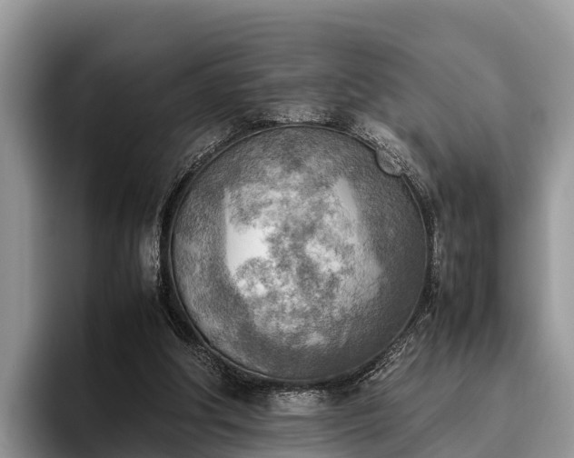 X0000095890202200801181232