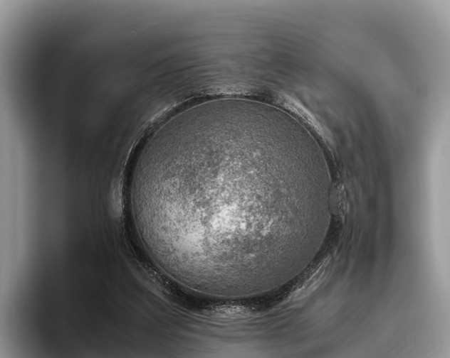 X0000095890203200801181232
