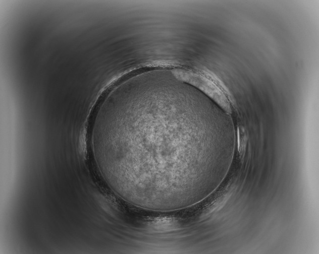 X0000095890204200801181232