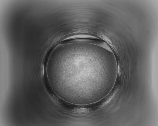 X0000095890205200801181232