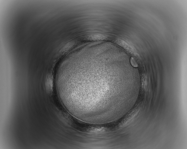 X0000095890206200801181232