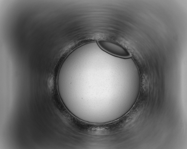 X0000095890208200801181232