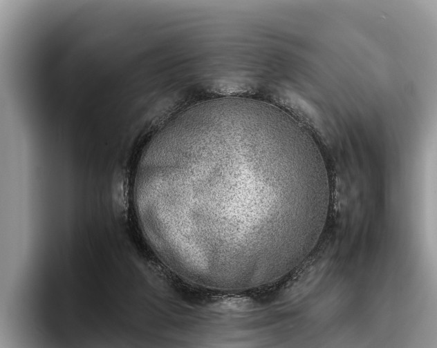 X0000095890210200801181232