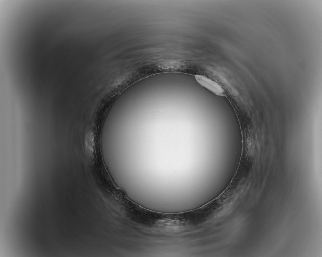 X0000095890211200801181232