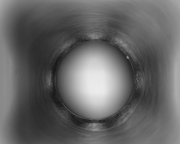X0000095890212200801181232