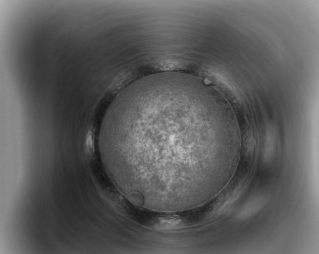 X0000095890214200801181232