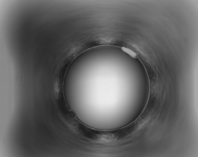 X0000095890215200801181232