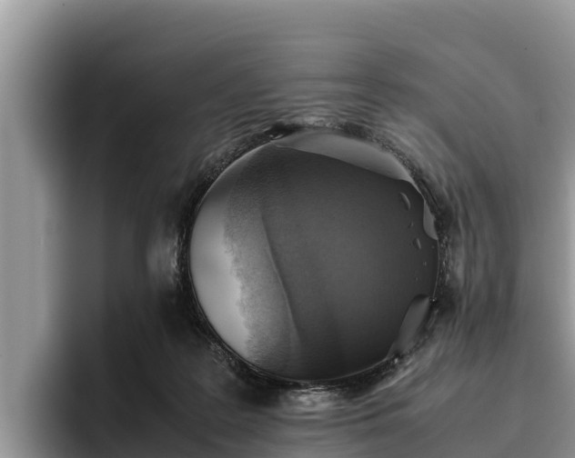 X0000095890219200801181232