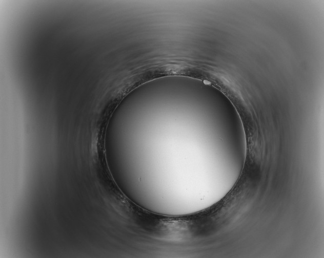 X0000095890221200801181232