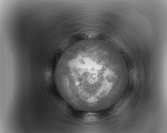 X0000095890222200801181232
