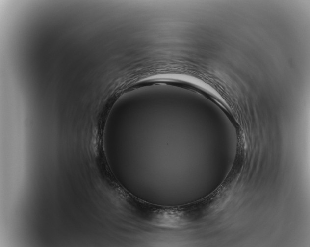 X0000095890223200801181232