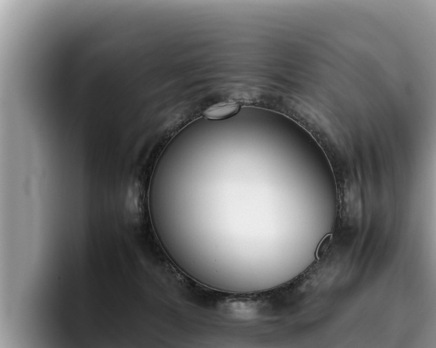 X0000095890228200801181232