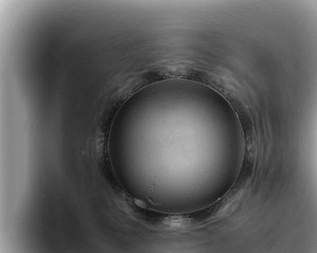 X0000095890231200801181232