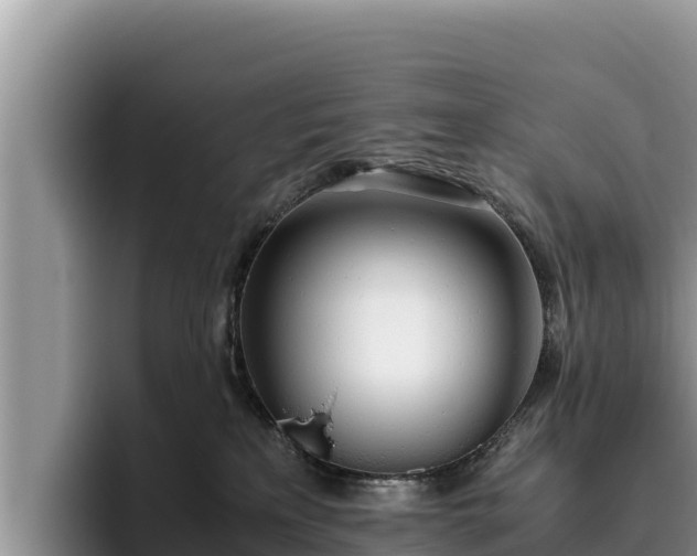 X0000095890233200801181232