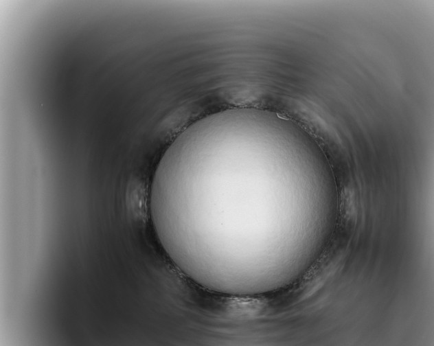 X0000095890234200801181232