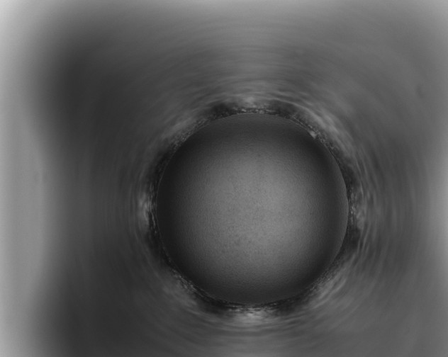 X0000095890235200801181232
