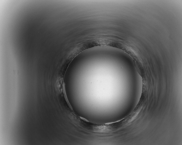 X0000095890237200801181232