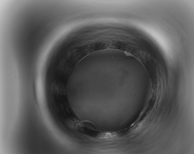 X0000095890239200801181232