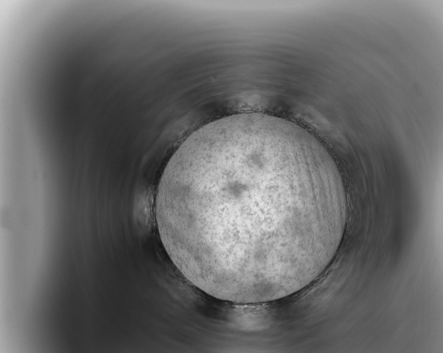 X0000095890240200801181232