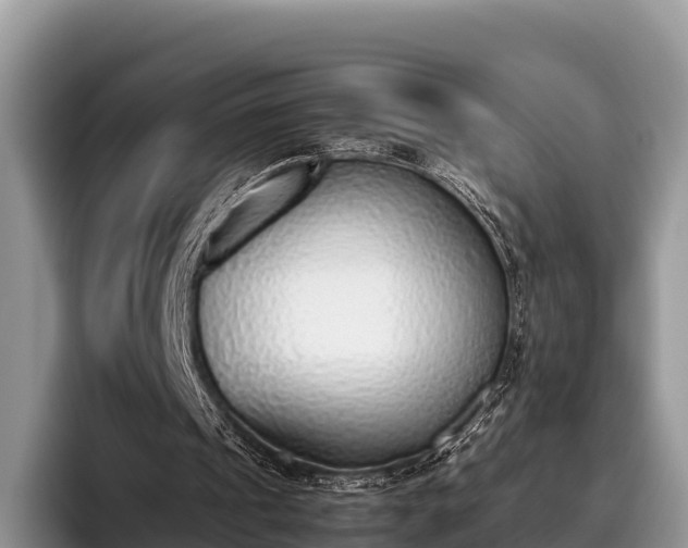 X0000095890241200801181231