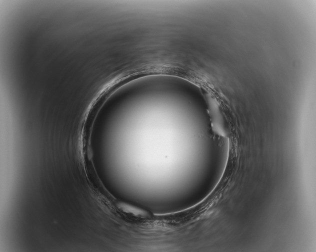 X0000095890244200801181231