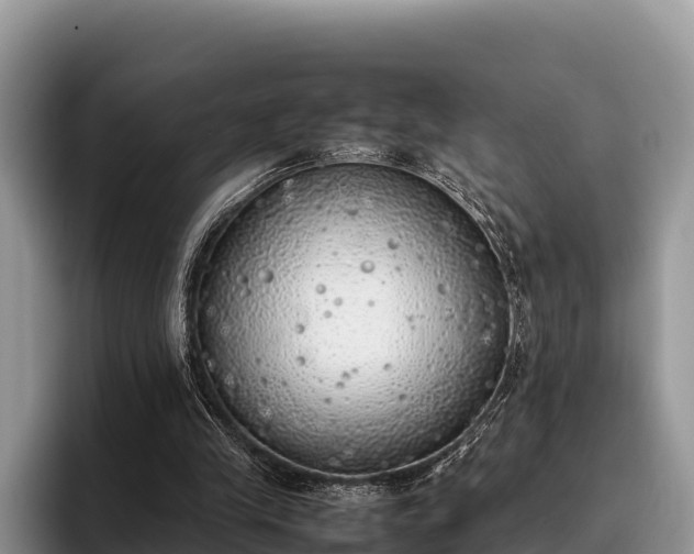 X0000095890245200801181231