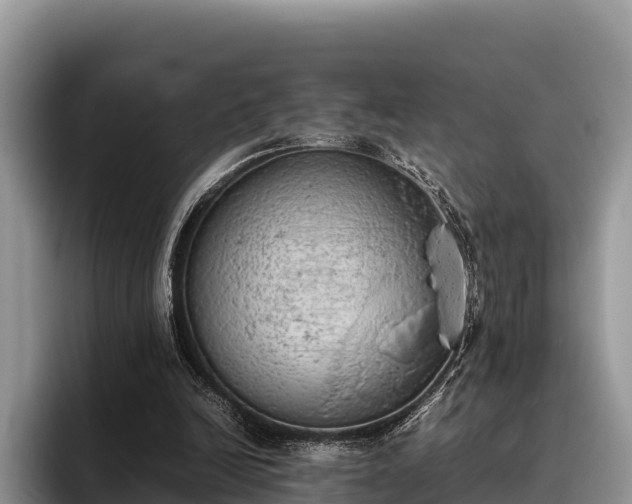 X0000095890246200801181231