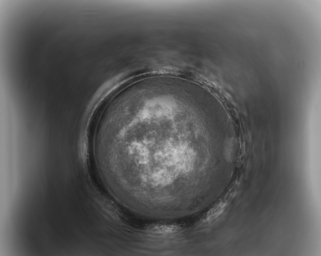 X0000095890247200801181231