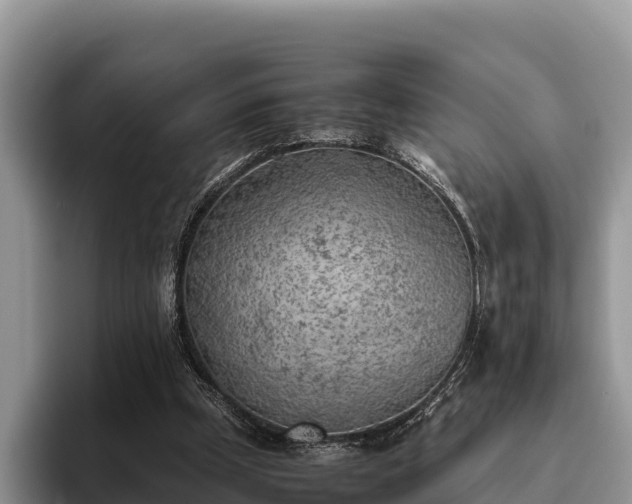 X0000095890249200801181231