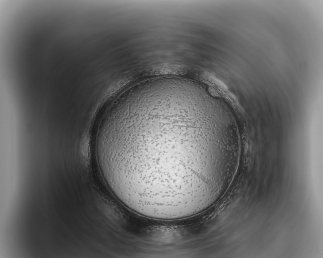 X0000095890250200801181231