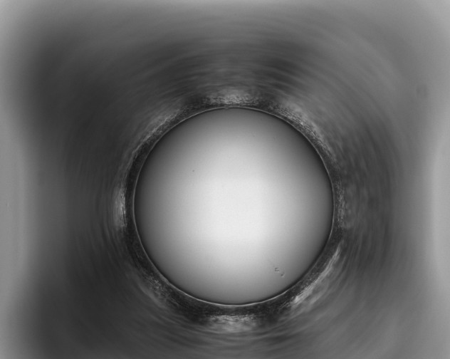 X0000095890251200801181231