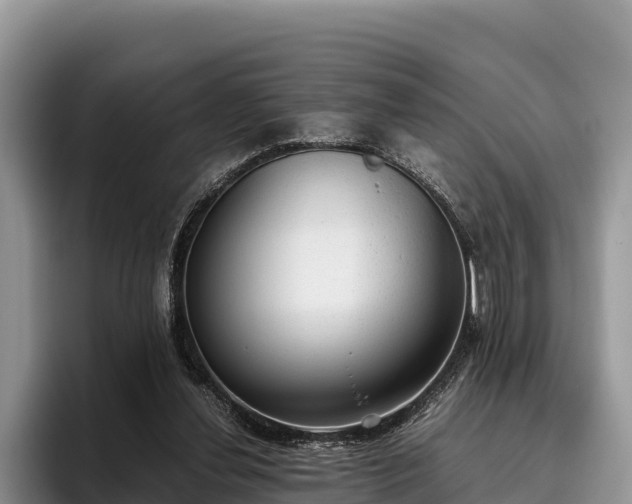 X0000095890252200801181231