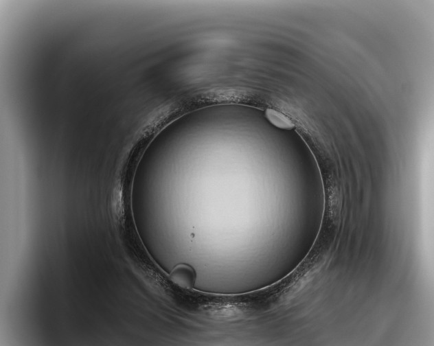 X0000095890254200801181231