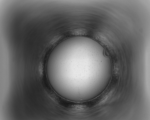 X0000095890255200801181231