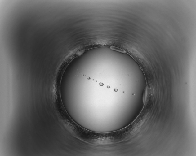 X0000095890256200801181231
