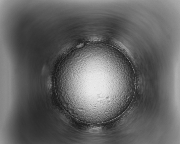X0000095890257200801181231