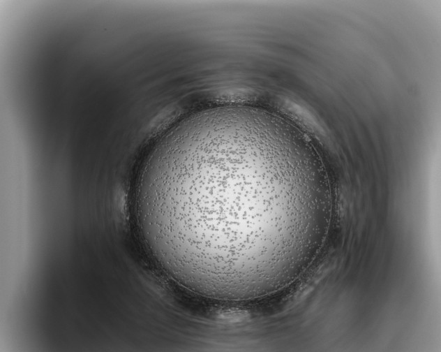 X0000095890258200801181231