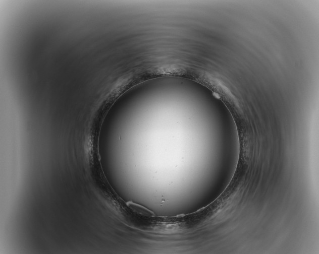 X0000095890260200801181231