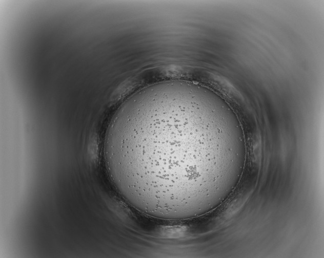 X0000095890266200801181232