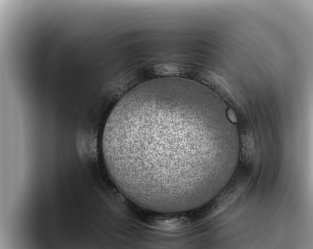 X0000095890267200801181232