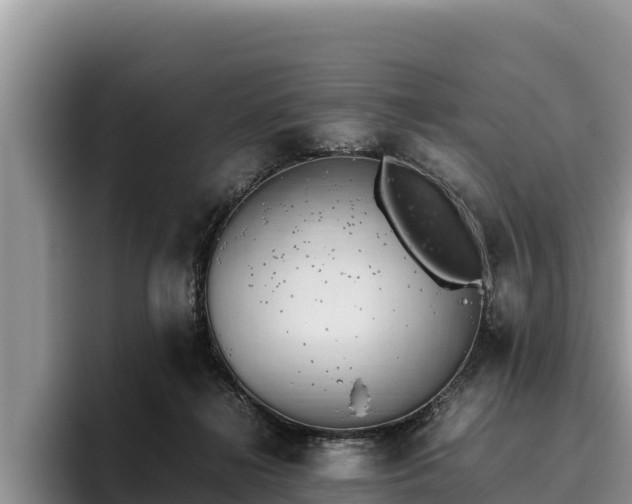 X0000095890268200801181232