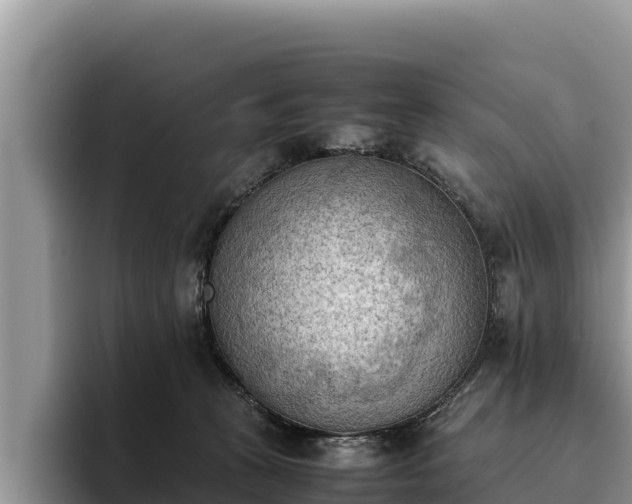 X0000095890273200801181232