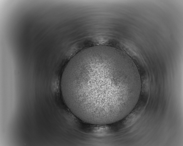X0000095890274200801181232