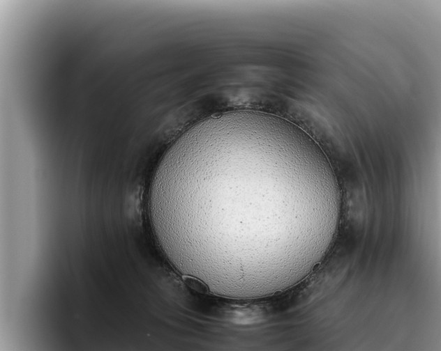 X0000095890275200801181232