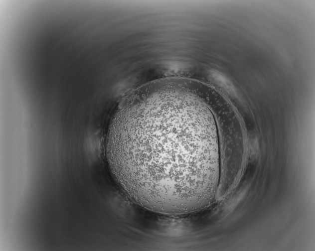 X0000095890276200801181232