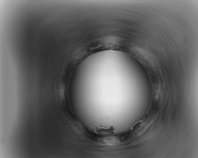 X0000095890279200801181232