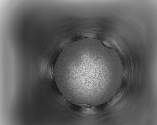 X0000095890285200801181232
