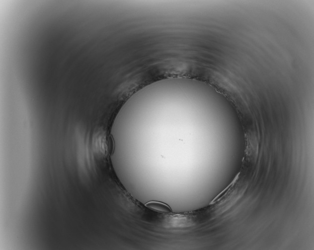 X0000095890287200801181232